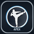 Apex Fight System
