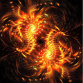 Apophysis AV