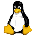 babyfish-kernel