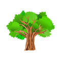 Barcelona Trees