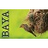 Baya - SoC Integration Platform