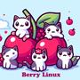 Berry Linux