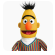 bert-base-uncased