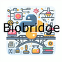 biobridge