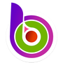 Logo Project BitOK Coin E-Wallet