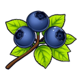 Blueberry Loom