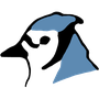 bluej-mod-early-access-jdk