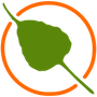 BodhiDev