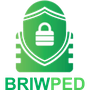Briwped V Studio