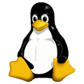 Bryn-Kernel