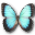 Butterfly Javascript Game