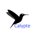Calypte