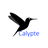 Calypte