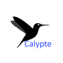 Calypte