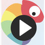 Chameleon Video Player