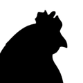 chickernel redmi note 12/13 4G