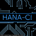 HANA-CI | Clarity Kernel