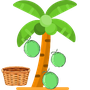 Coconut Catch