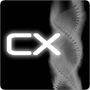 Logo Project ConsoleX