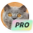 ControlNet