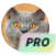 ControlNet