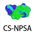 CS-NPSA 