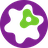 DBSolveOptimum