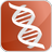 DNA Shell