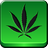Project Logo