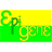 Epi-Gene
