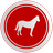 Equus - Horse Education