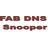 FAB DNS Snooper