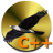 Falcon C++