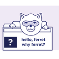 Ferret