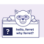 Ferret