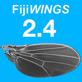 FijiWings for Mac and Windows
