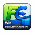 FlexgConverter_Windows