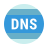 ForceDNS