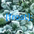 Frost Programming Language