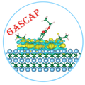 GASCAP