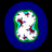 Project Logo