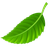 Greenie