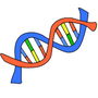 gsasnp2
