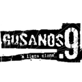 GUSANOS