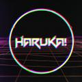 Haruka Network Development