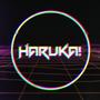 Haruka Network Development