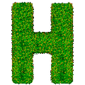 Hatari