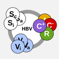 HBV interventions model