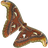 Project Logo