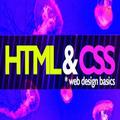 HTML_And_CSS_Basics_With_Important_Tags